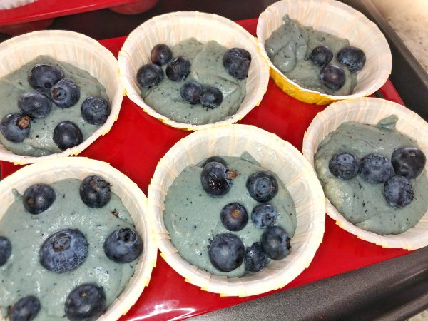 Diabetic Blueberry Muffins - Grain free Gluten free Blueberry Muffin Recipe